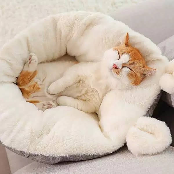 Teal Zeus plush cream donut cat bed sleeping bag with orange and white cat curled asleep